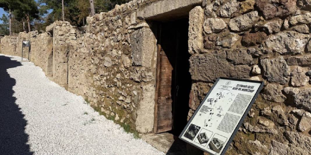 Tarihi kazılarda yeni keşifler! Zeytinyağı üretim merkezi tespit edildi: 3 bin yıl öncesine dayanıyor 1